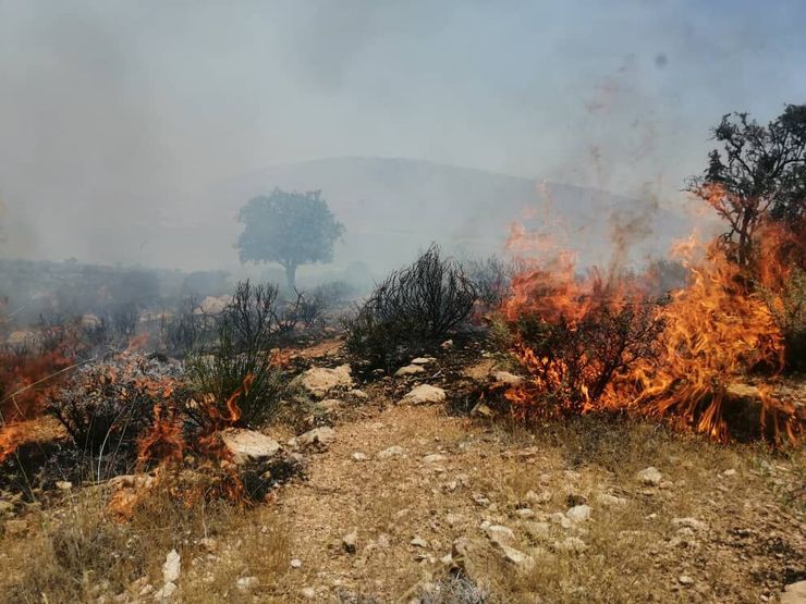 مهار آتش سوزی پارک ملی تندوره درگز