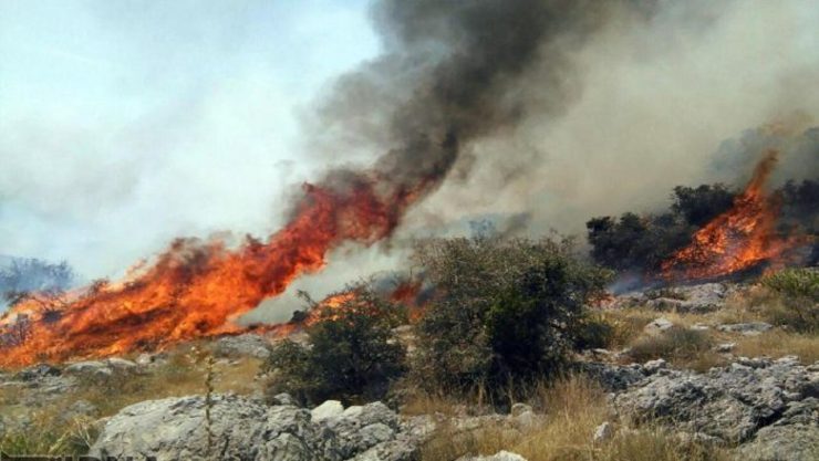 ۲۵ هکتار از اراضی پارک تندوره در آتش سوخت.