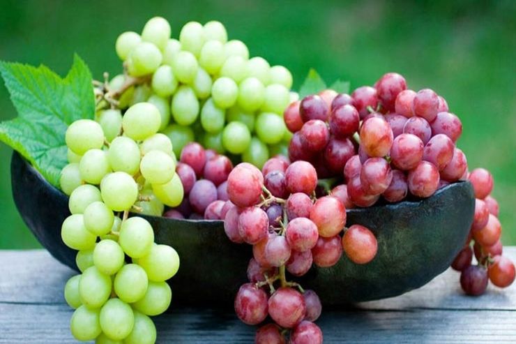 مصرف انگور خطر سکته قلبی را کاهش می‌دهد