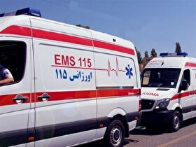 ۱۴ دستگاه آمبولانس در تاسوعا و عاشورای حسینی اطراف حرم مطهر رضوی مستقر می‌شود