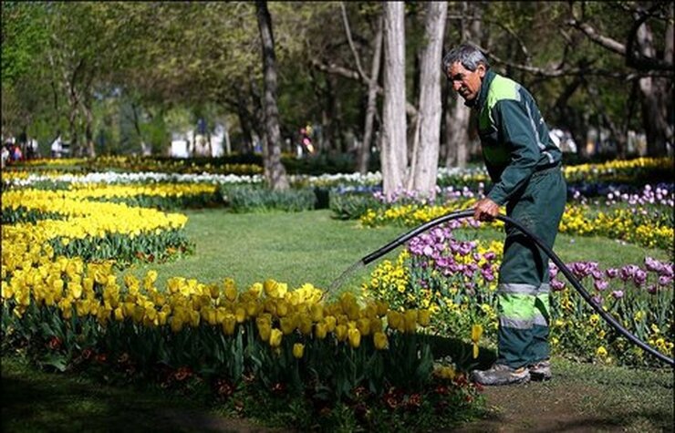 کمتر از ۱۰ درصد از آبیاری فضای سبز شهر مشهد با آب شرب انجام می‌شود
