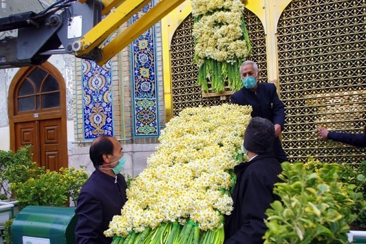 آیین اهدای ۸۰۰۰ شاخه گل نرگس به حرم رضوی برگزار می‌شود