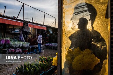 بازار گل محلاتی تهران در آستانه سال نو