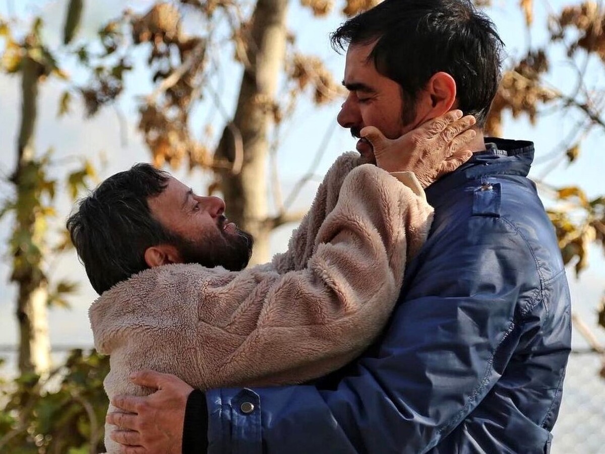 ۲۲ فیلم پروانه نمایش گرفتند | «نرگسی» شهاب حسینی در راه سینما