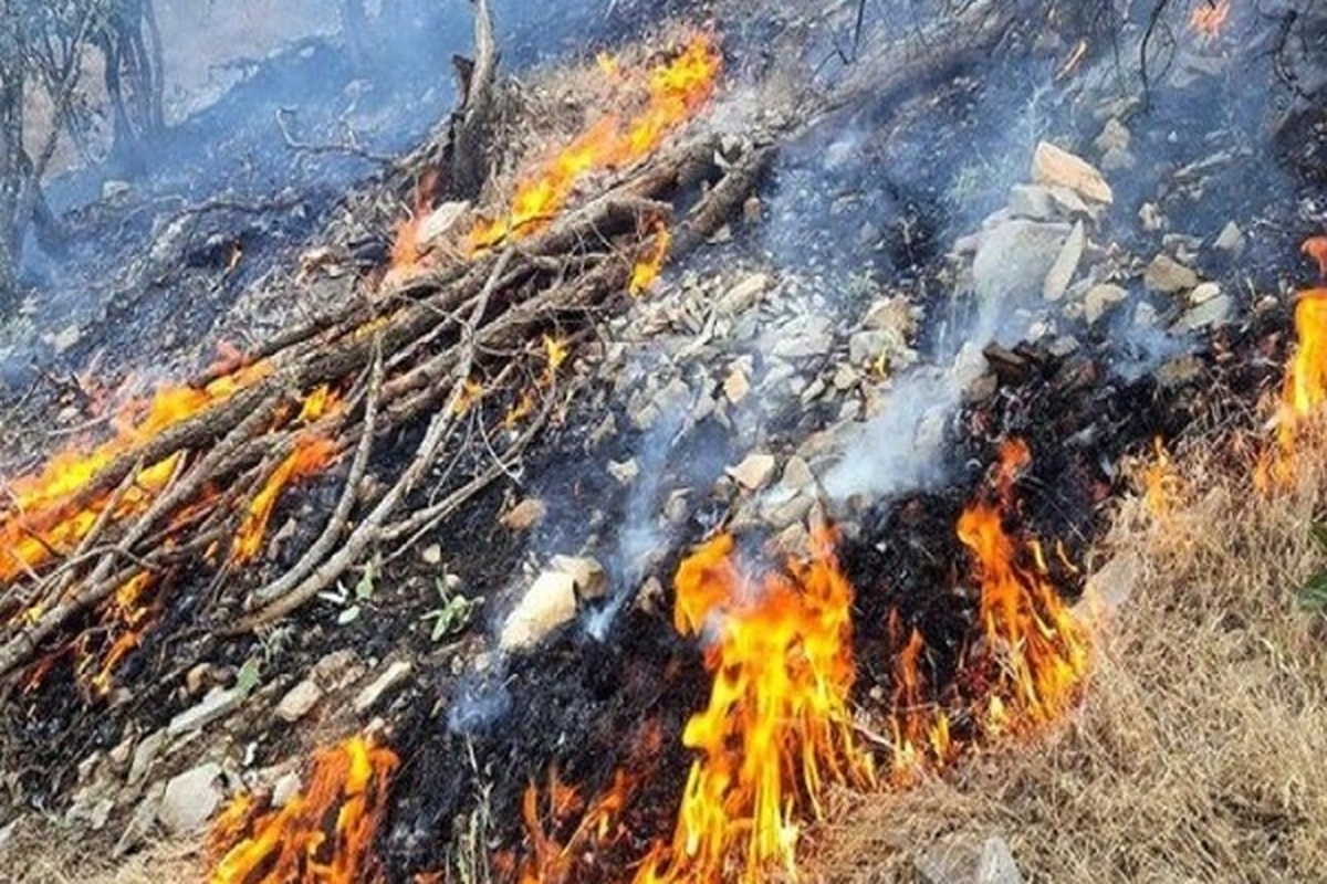 آتش سوزی، پنج هکتار از پارک ملی تندوره درگز را سوزاند