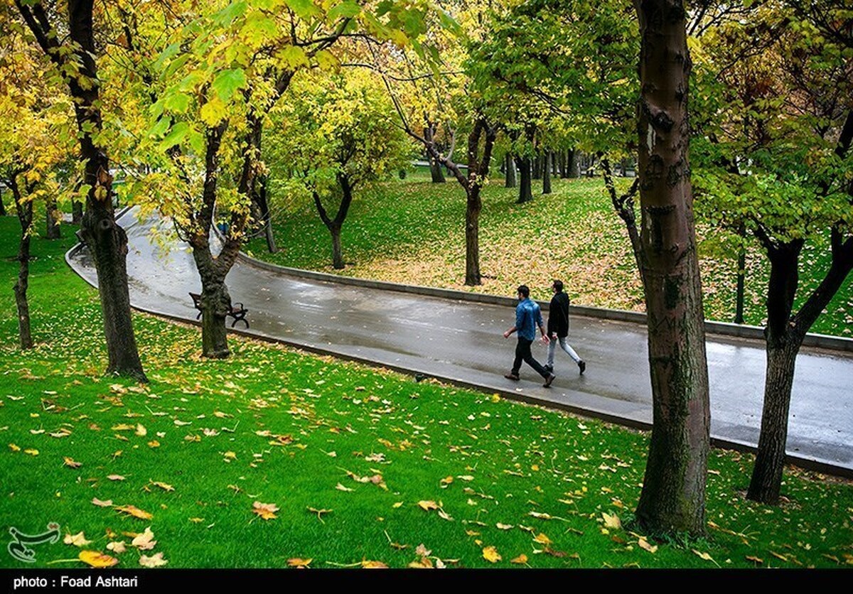 ویدئو | باران پاییزی در پارک ملت مشهد (۸ آذر ۱۴۰۲)
