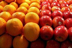 لزوم صادرات سیب و پرتقال مازاد در راستای حمایت از تولید داخل