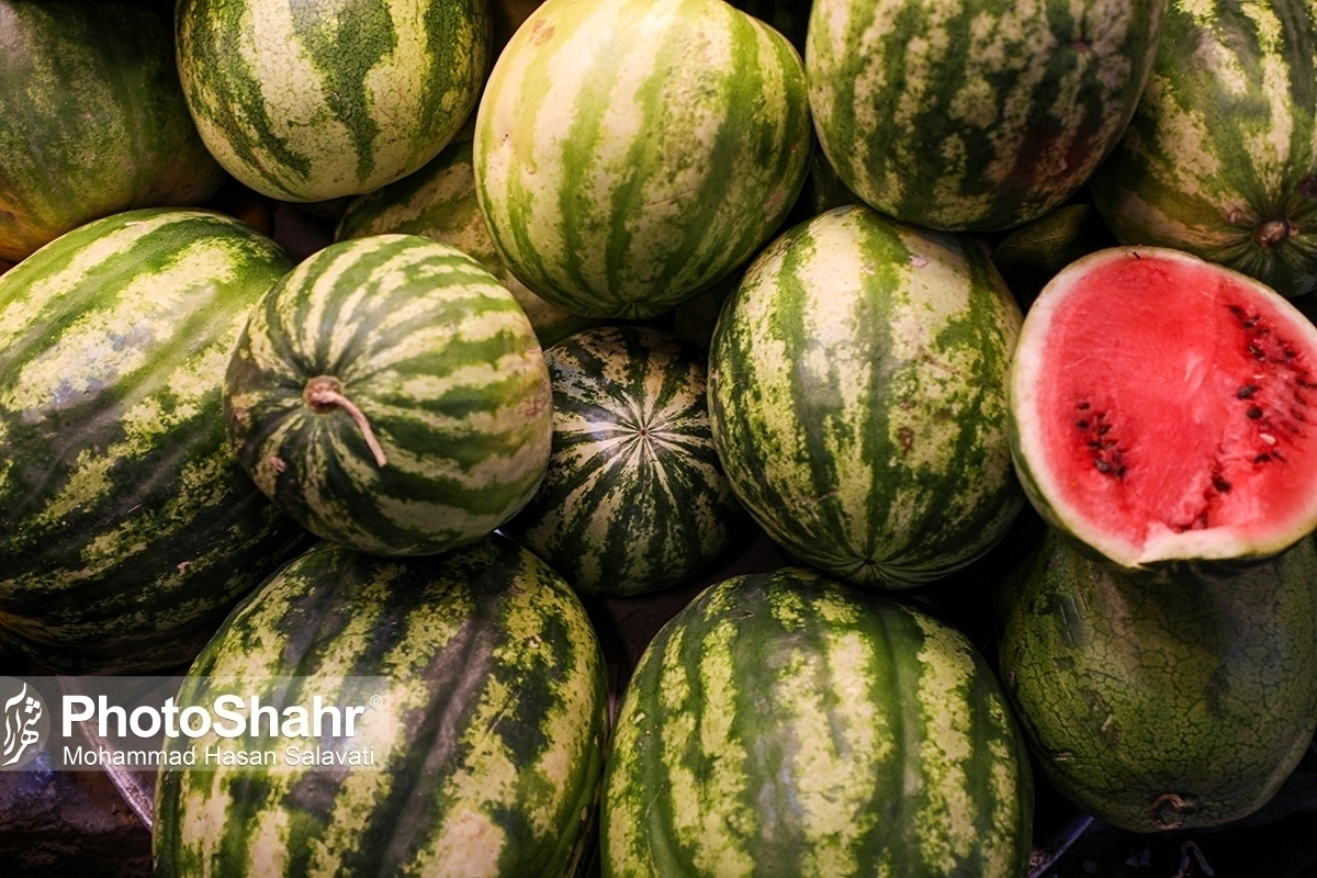 لیست قیمت انواع میوه‌ در بازار امروز مشهد (۱۳ اردیبهشت ۱۴۰۳) | کاهش قیمت میوه محسوس‌تر می‌شود